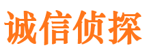 凌云寻人公司